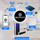 Buckko Locks Y22 Smart Lever Lock for Doors Fingerprint PIN RFID App Key Silver